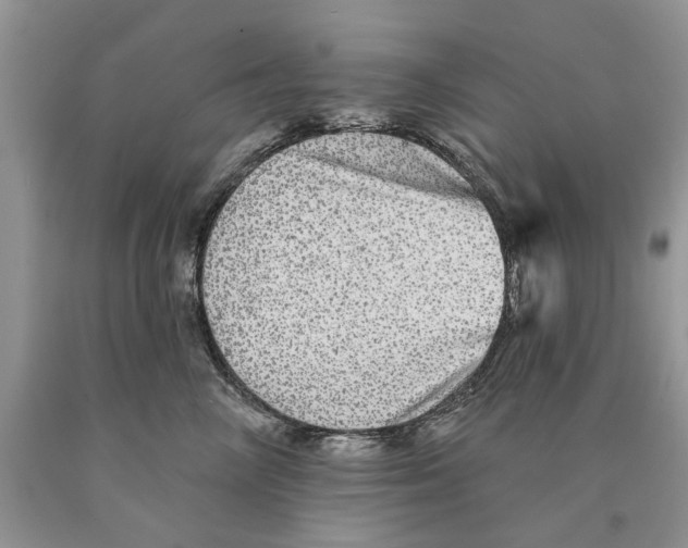 X0000089960714200707271901