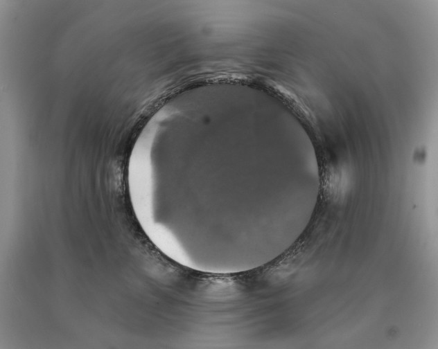 X0000089960715200707271901