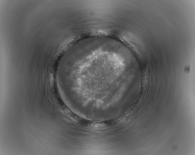 X0000089960716200707271901