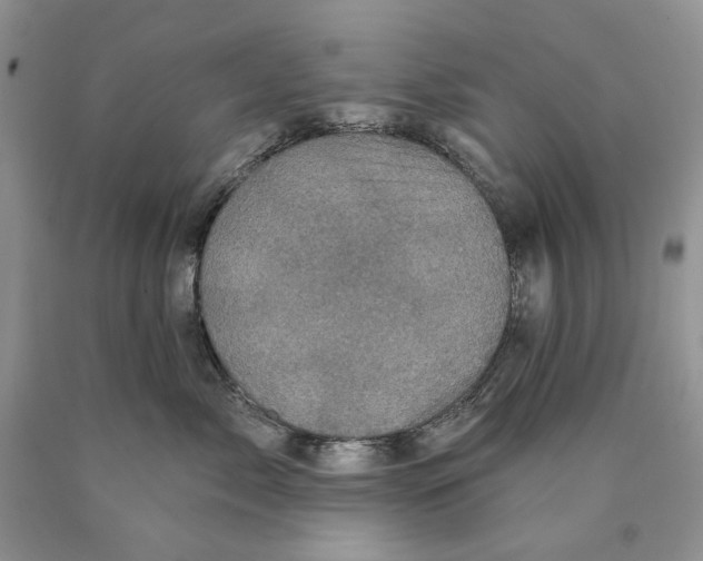 X0000089960717200707271901