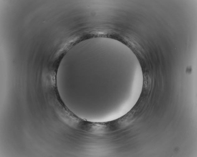 X0000089960718200707271901