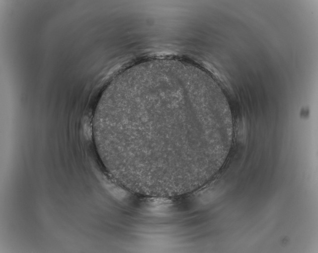 X0000089960719200707271901