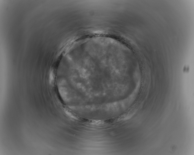 X0000089960720200707271901