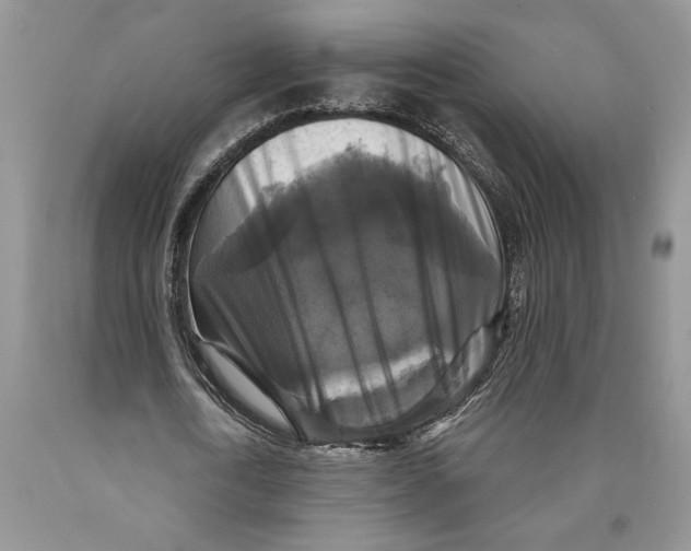 X0000089960722200707271900