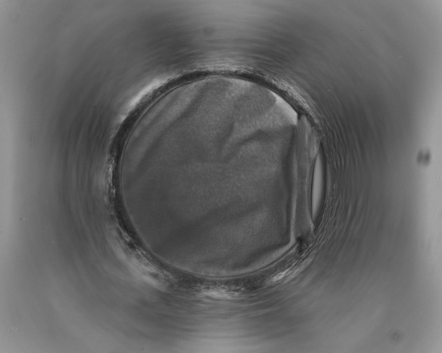 X0000089960723200707271900