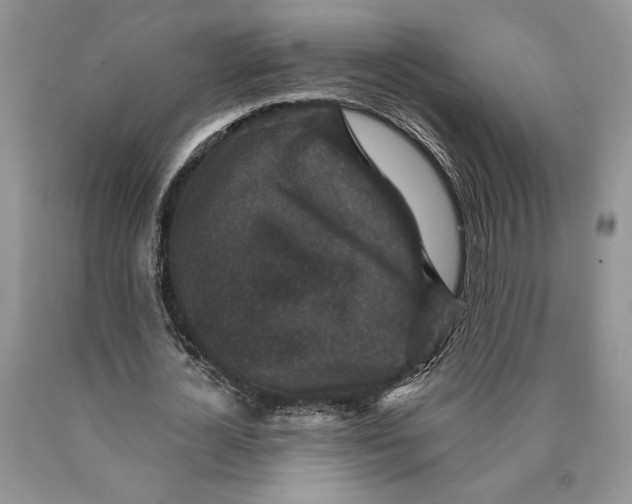 X0000089960724200707271901