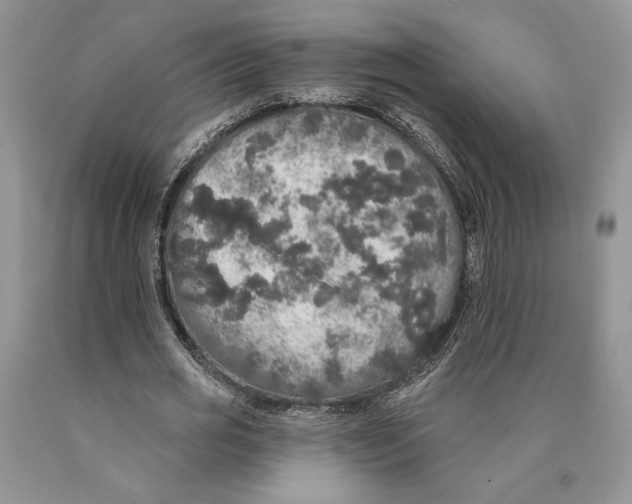 X0000089960725200707271901