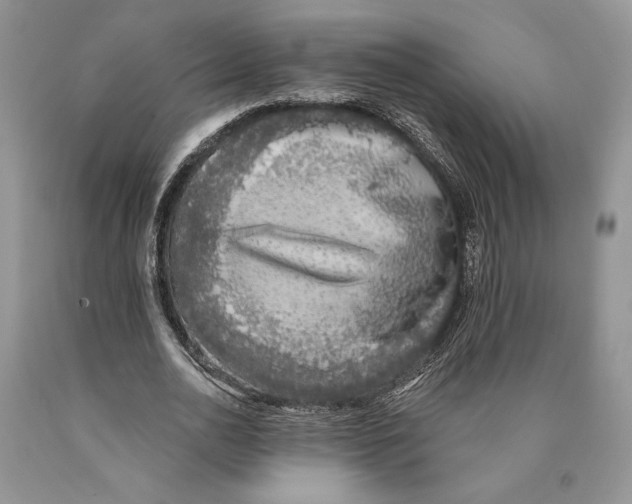 X0000089960726200707271901