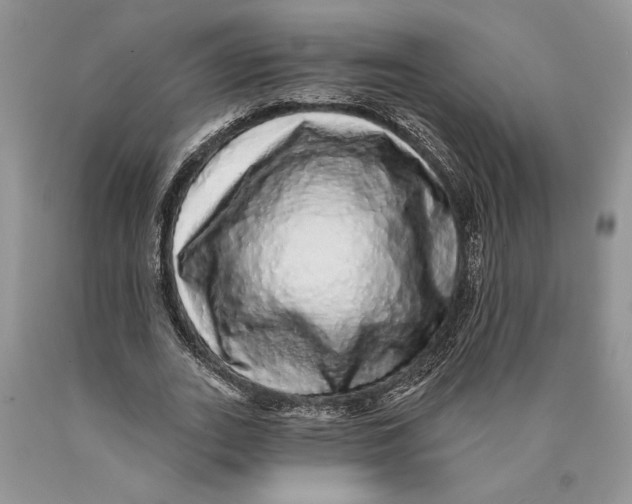 X0000089960727200707271901