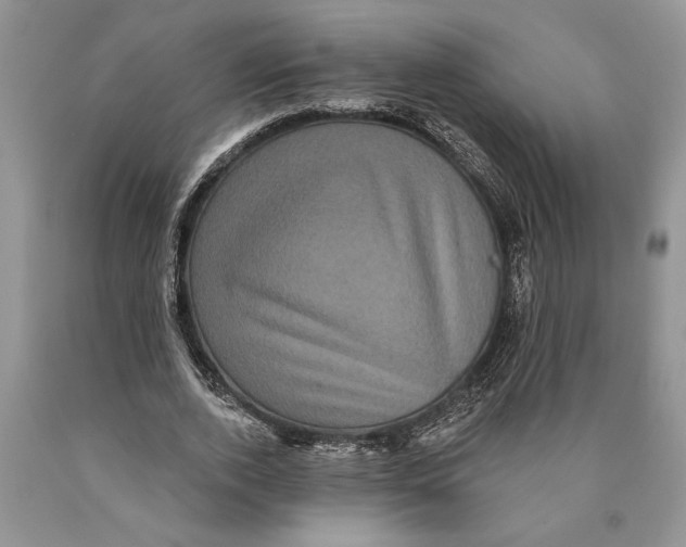 X0000089960728200707271901