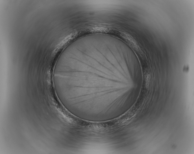 X0000089960729200707271901