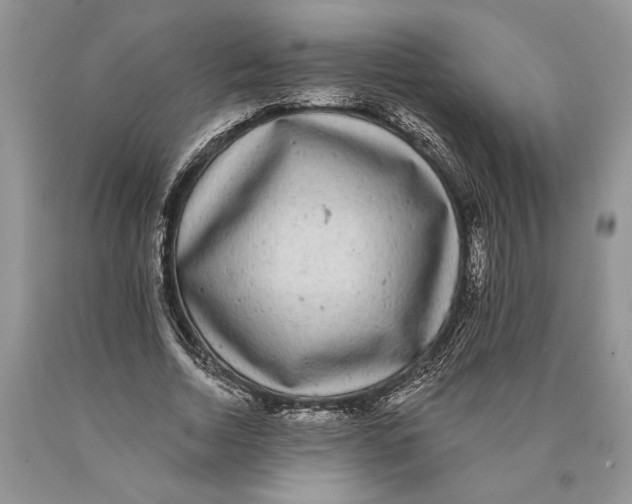 X0000089960730200707271901