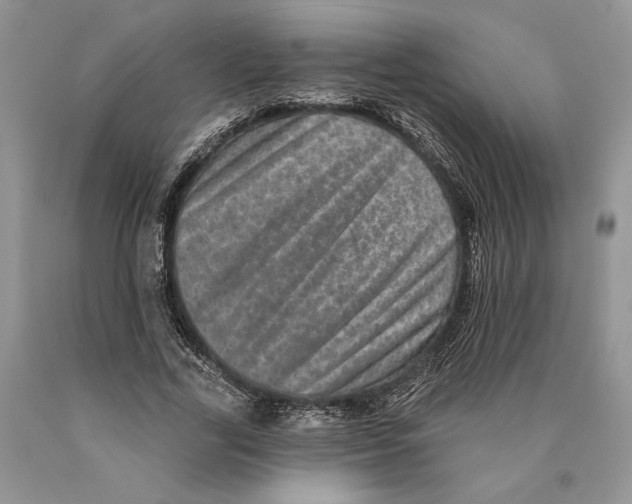 X0000089960731200707271901