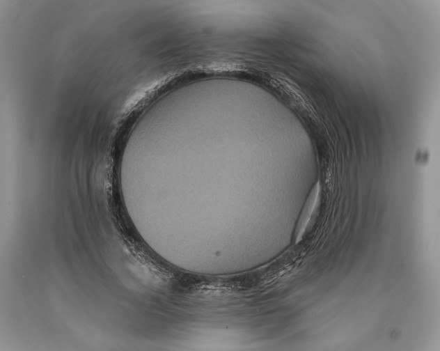 X0000089960732200707271901