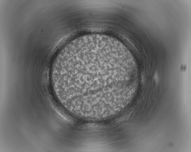 X0000089960733200707271901