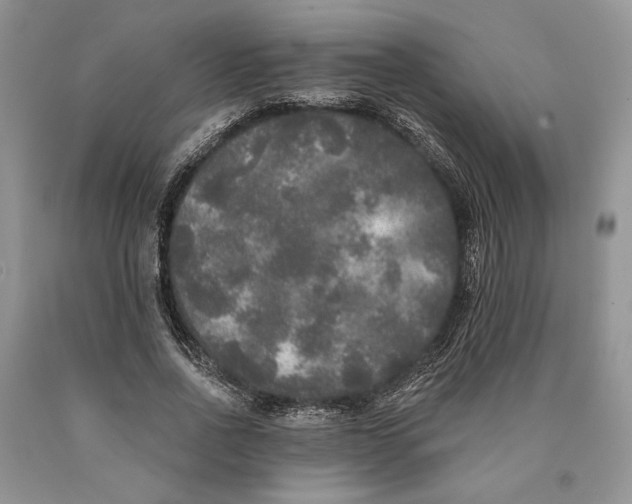 X0000089960734200707271901