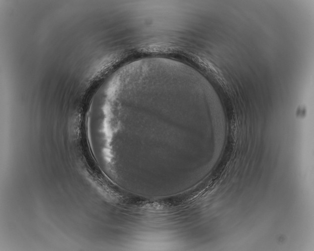 X0000089960735200707271901