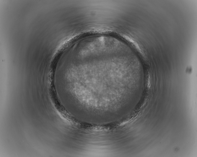 X0000089960736200707271901