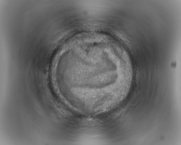 X0000089960737200707271901