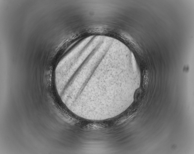 X0000089960739200707271901