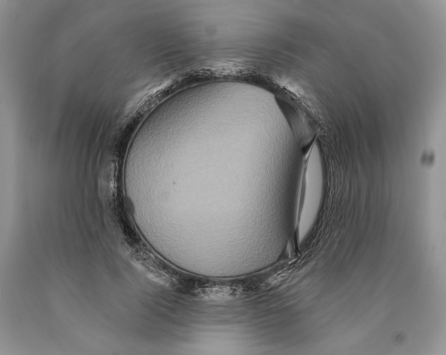 X0000089960740200707271901