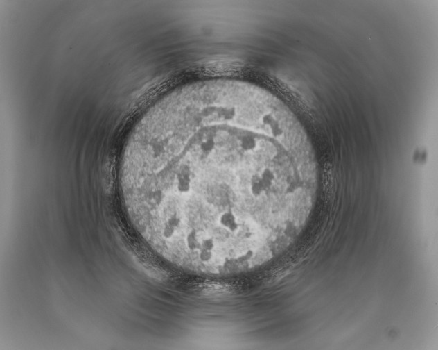 X0000089960741200707271901