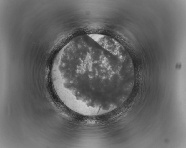 X0000089960742200707271901