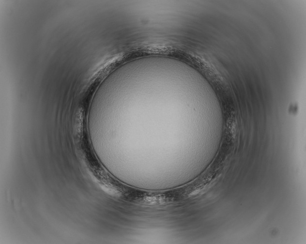 X0000089960744200707271901