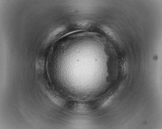 X0000089960745200707271901