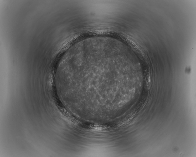 X0000089960746200707271901