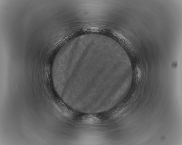 X0000089960747200707271901