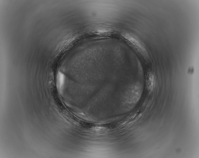 X0000089960748200707271901