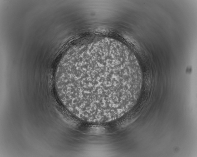 X0000089960749200707271901