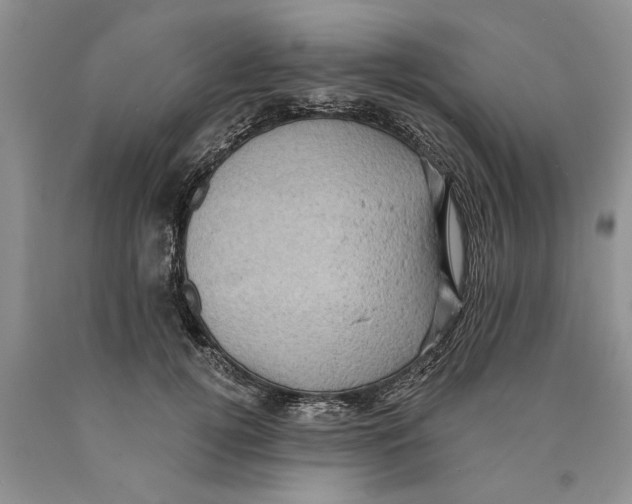 X0000089960752200707271901