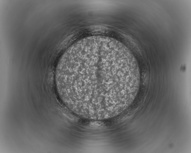 X0000089960753200707271901