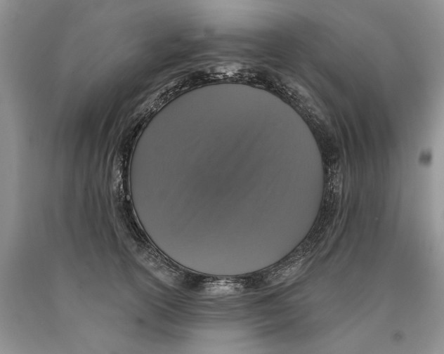 X0000089960754200707271901