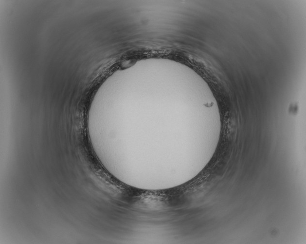 X0000089960756200707271901