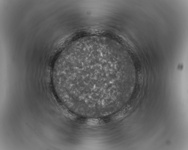 X0000089960757200707271901