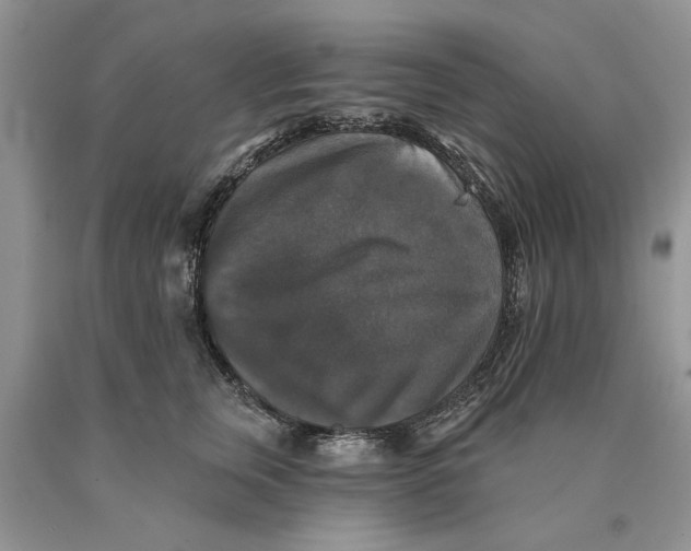 X0000089960759200707271901