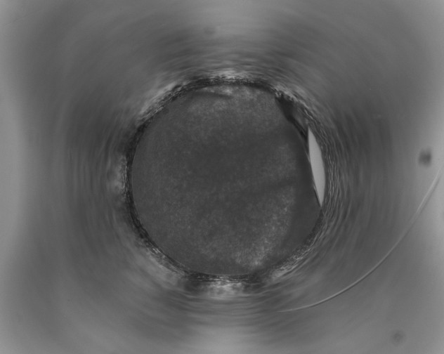 X0000089960760200707271901