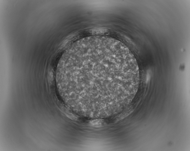 X0000089960761200707271901