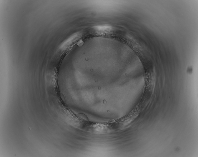 X0000089960762200707271901