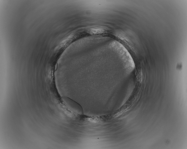 X0000089960763200707271901