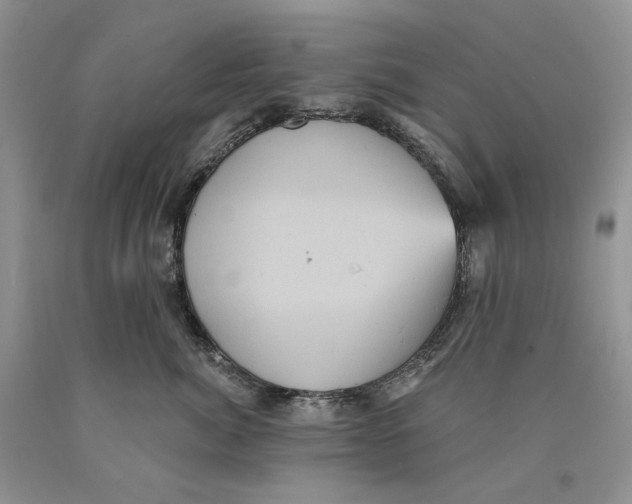 X0000089960764200707271901