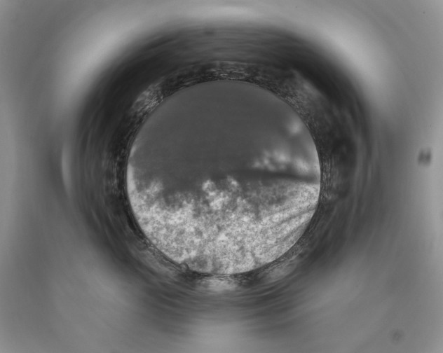 X0000089960765200707271901