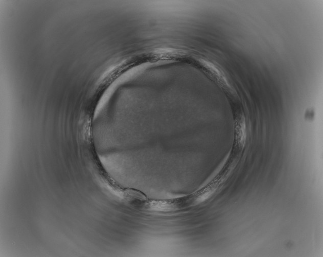 X0000089960766200707271901