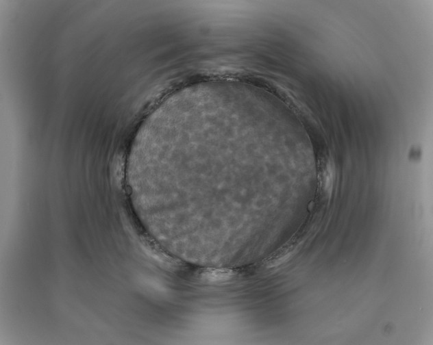 X0000089960767200707271901