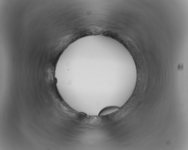 X0000089960768200707271901