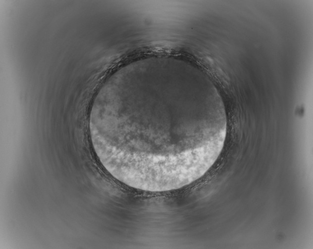 X0000089960769200707271900