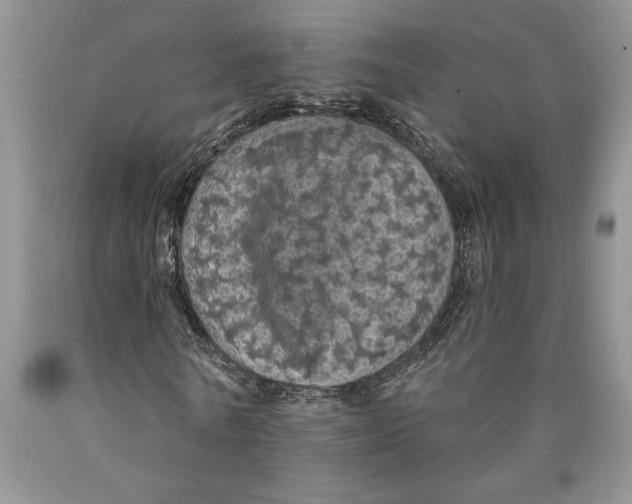 X0000089960770200707271900